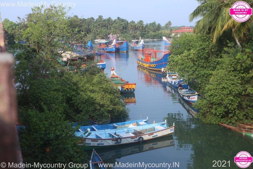 MadeinMycountry MadeinMycountryIndia India